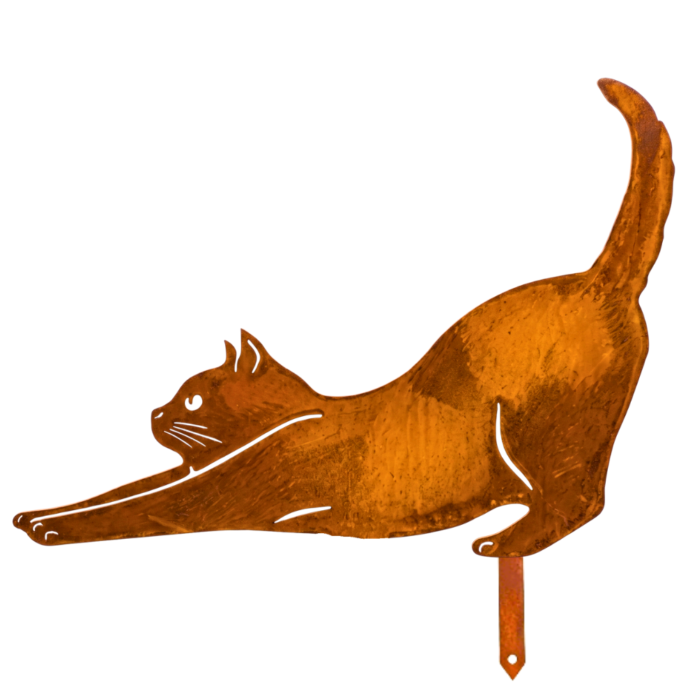 Chat Allongé