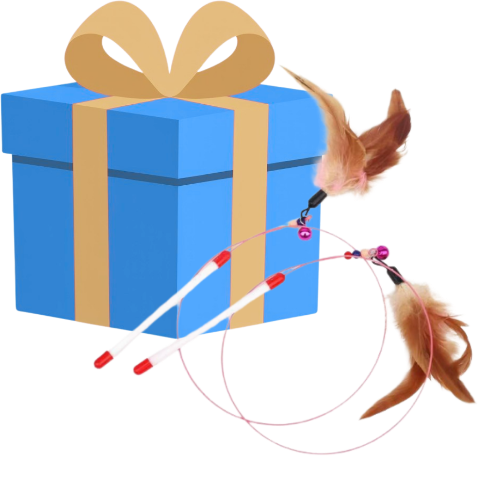 2 Jouets pour chat