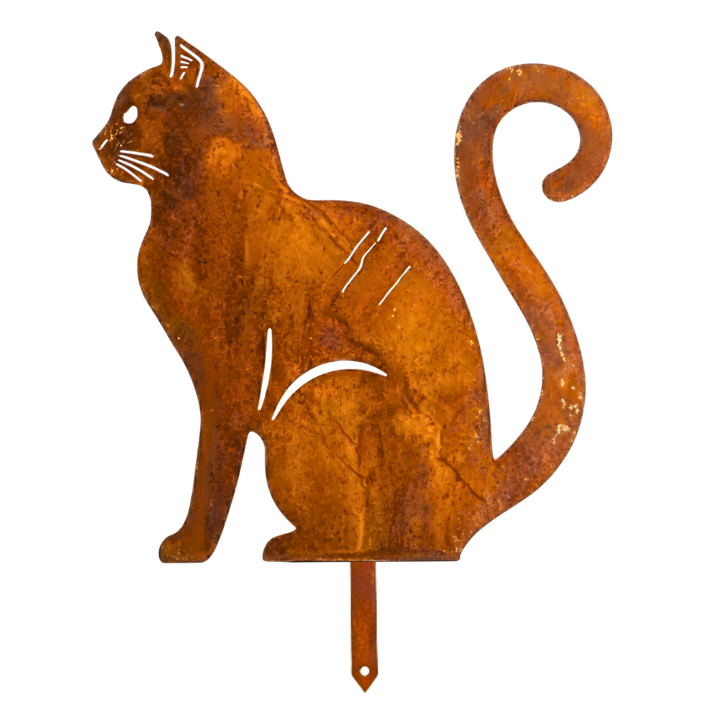 Chat Assis