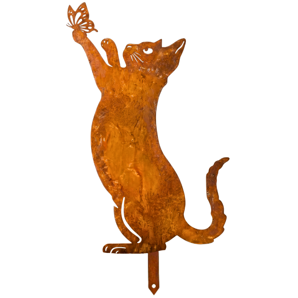 Chat Debout
