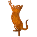 Chat Debout