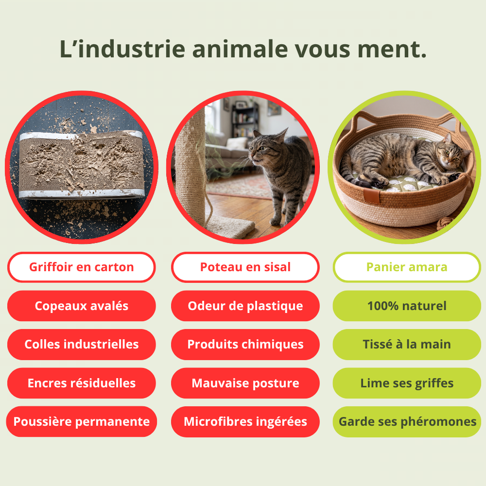 Panier Amara | Le Territoire Naturel Des Chats