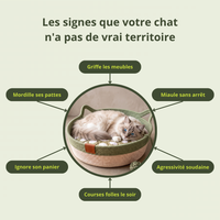 Panier Amara | Le Territoire Naturel Des Chats