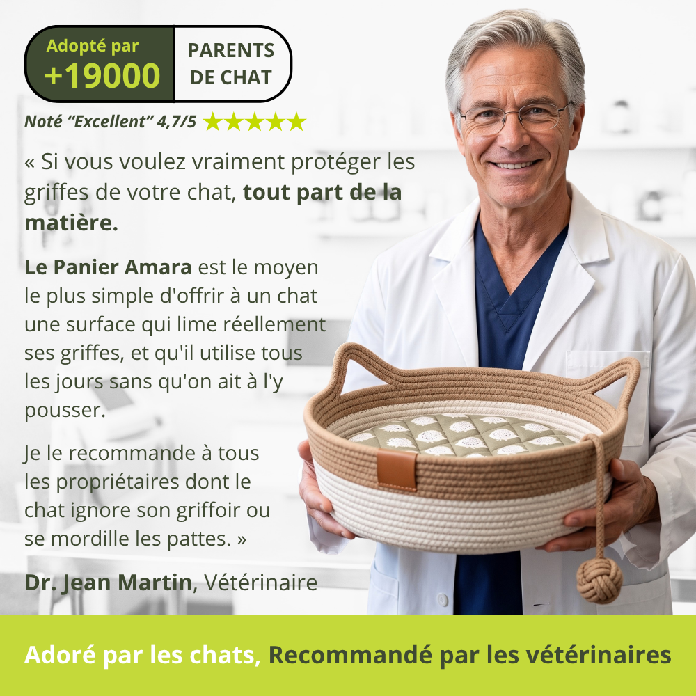 Panier Amara | Le Territoire Naturel Des Chats