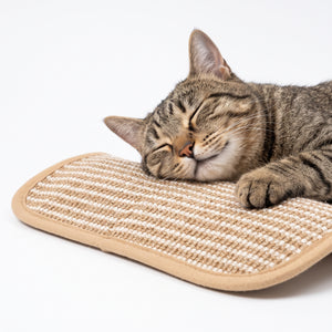 Coussin en herbe à chat
