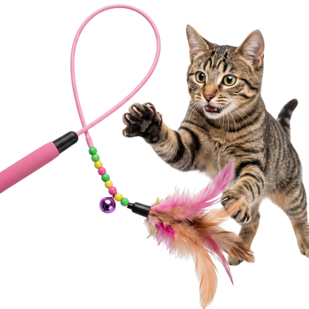 Plumeau pour chat